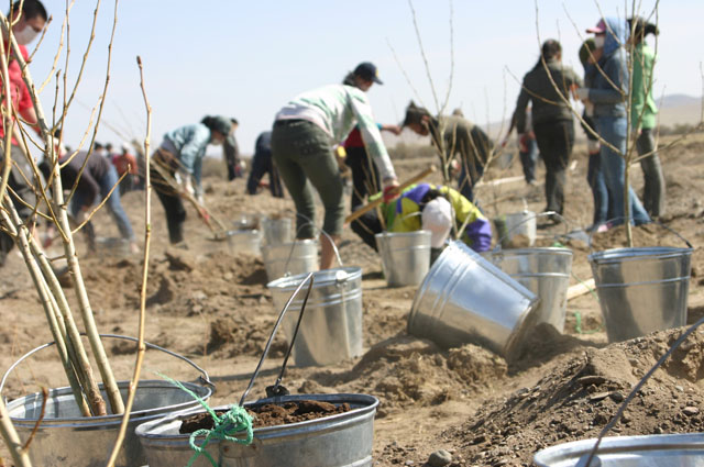 Ажлийн ид дунд